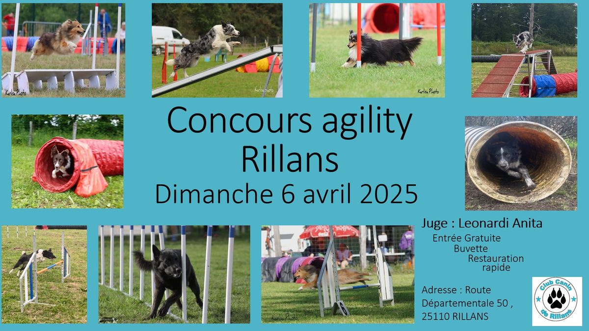 Concours Agility Rillans