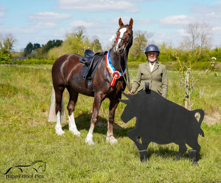 Working Equitation Training Competition 