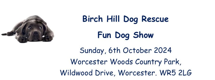 Birch Hill Dog Rescue Fun Dog Show 