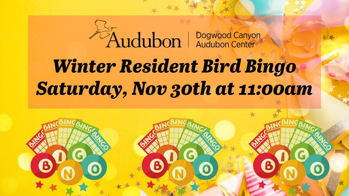 Winter Resident Bird Bingo