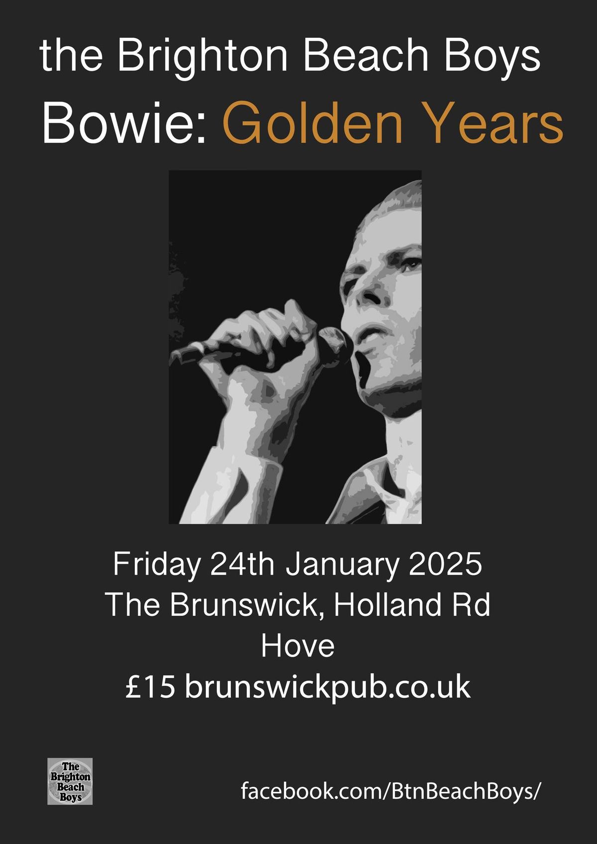 Bowie: Golden Years