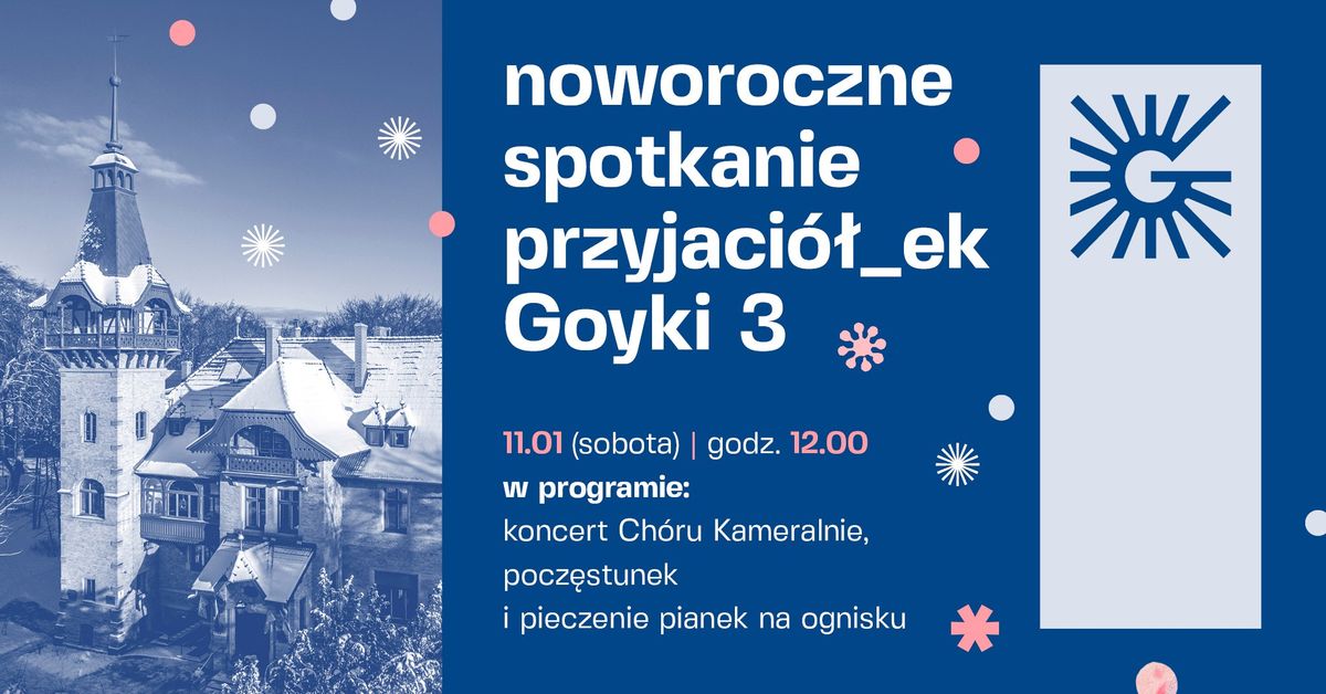 Noworoczne spotkanie przyjaci\u00f3\u0142_ek #Goyki3