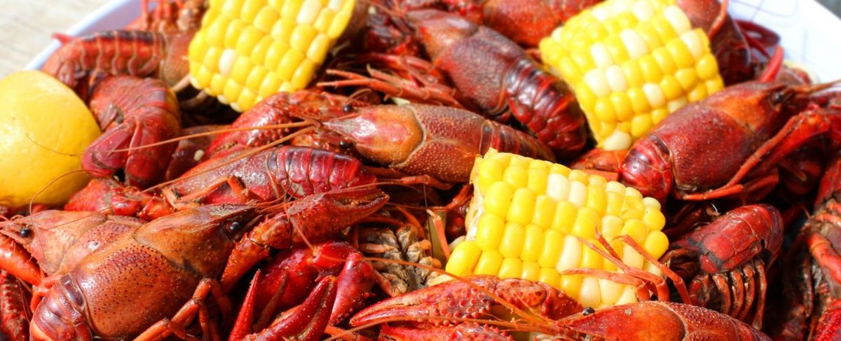 Crawfish Music Festival (Saturday Pass)