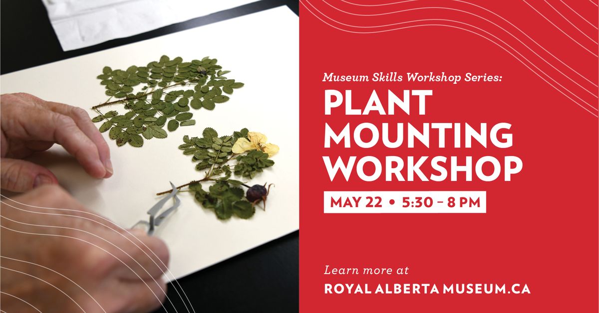 Museum Skills Workshops: Plant Mounting Workshop