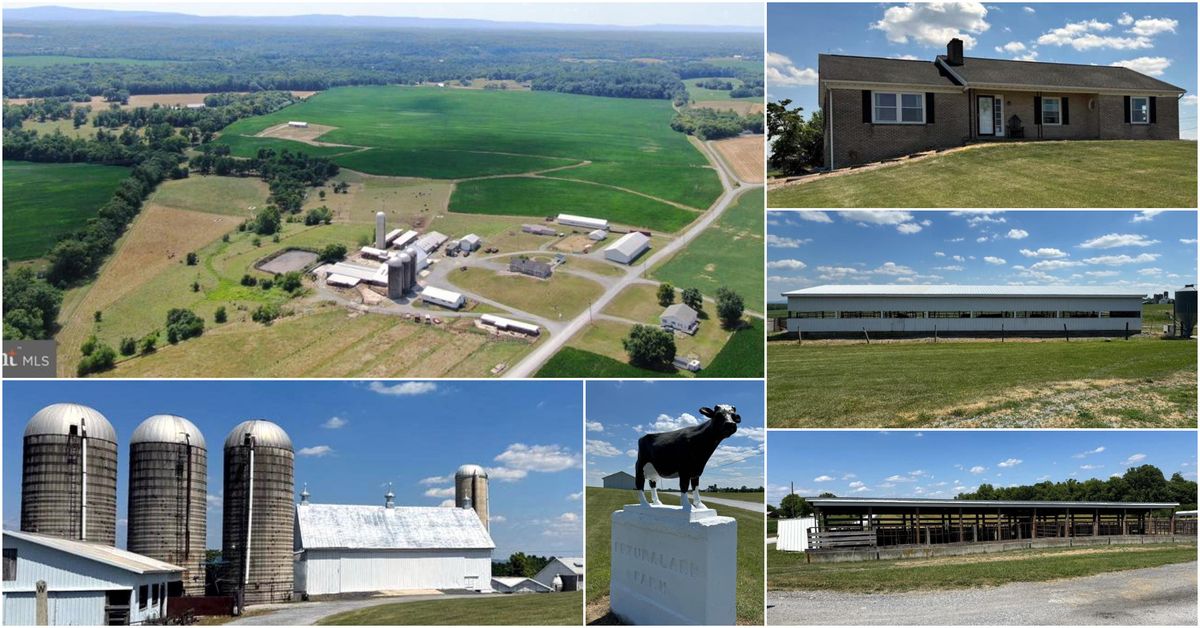 191+-ACRE FARM-Washington Co. MD for PUBLIC AUCTION