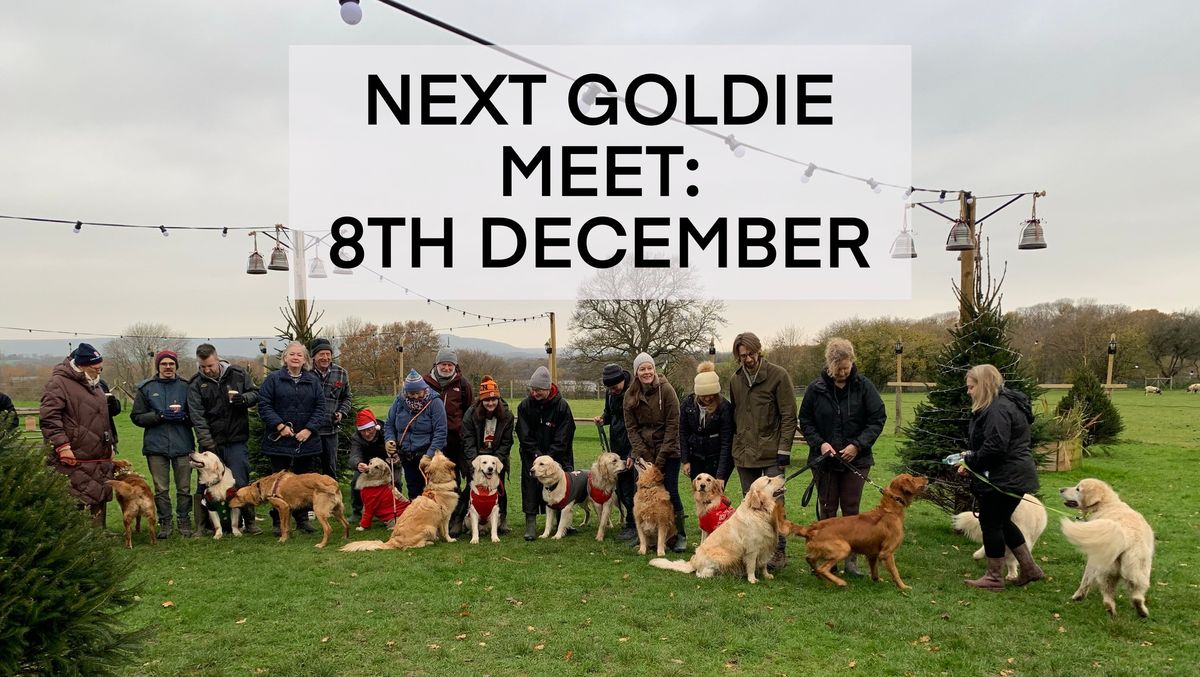 WEST SUSSEX CHRISTMAS GOLDIE MEET