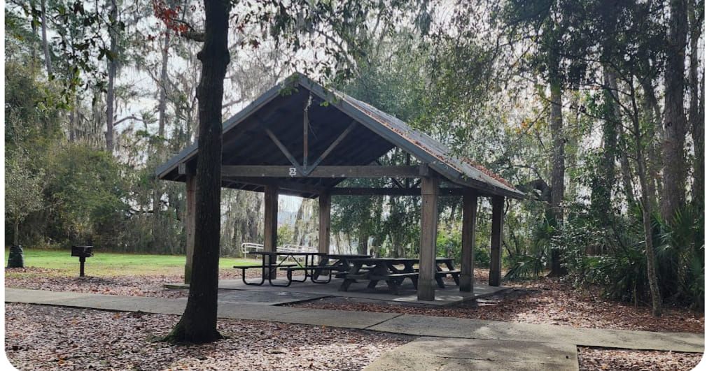 Undivided Connect Group Lunch at the park