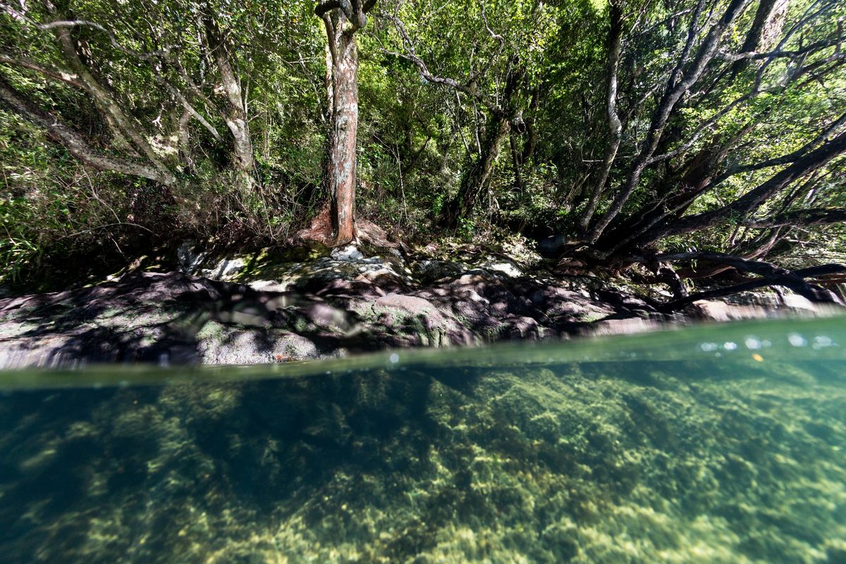 NZ Geographic & Tamatea BLUE Adventure 