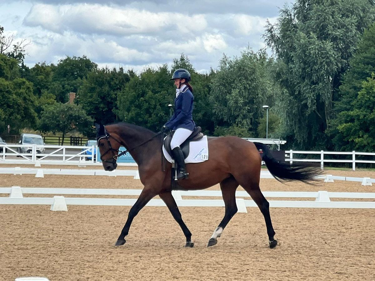 Team TDRC - A12 Intro Dressage Qualifers 