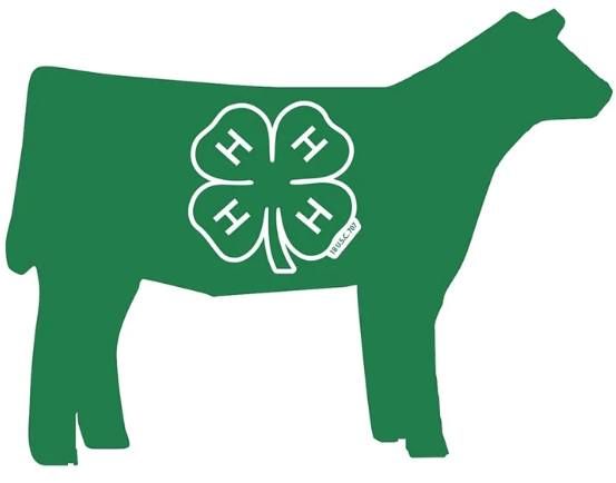 Alpena County 4-H Beef Weigh-In 