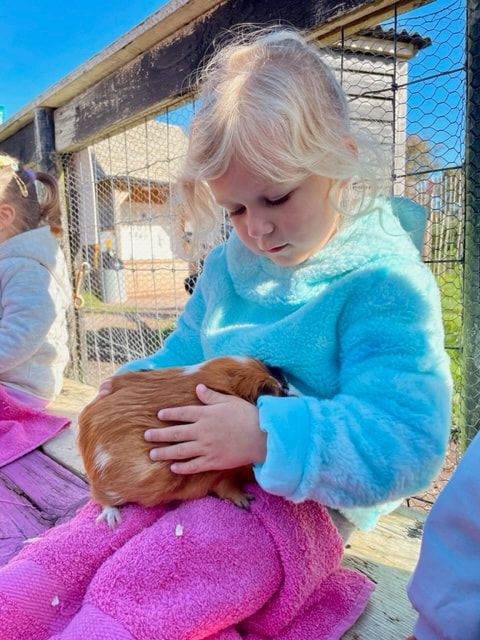 Education Workshop: Guinea Pig Snuggles and Wildlife Habitats