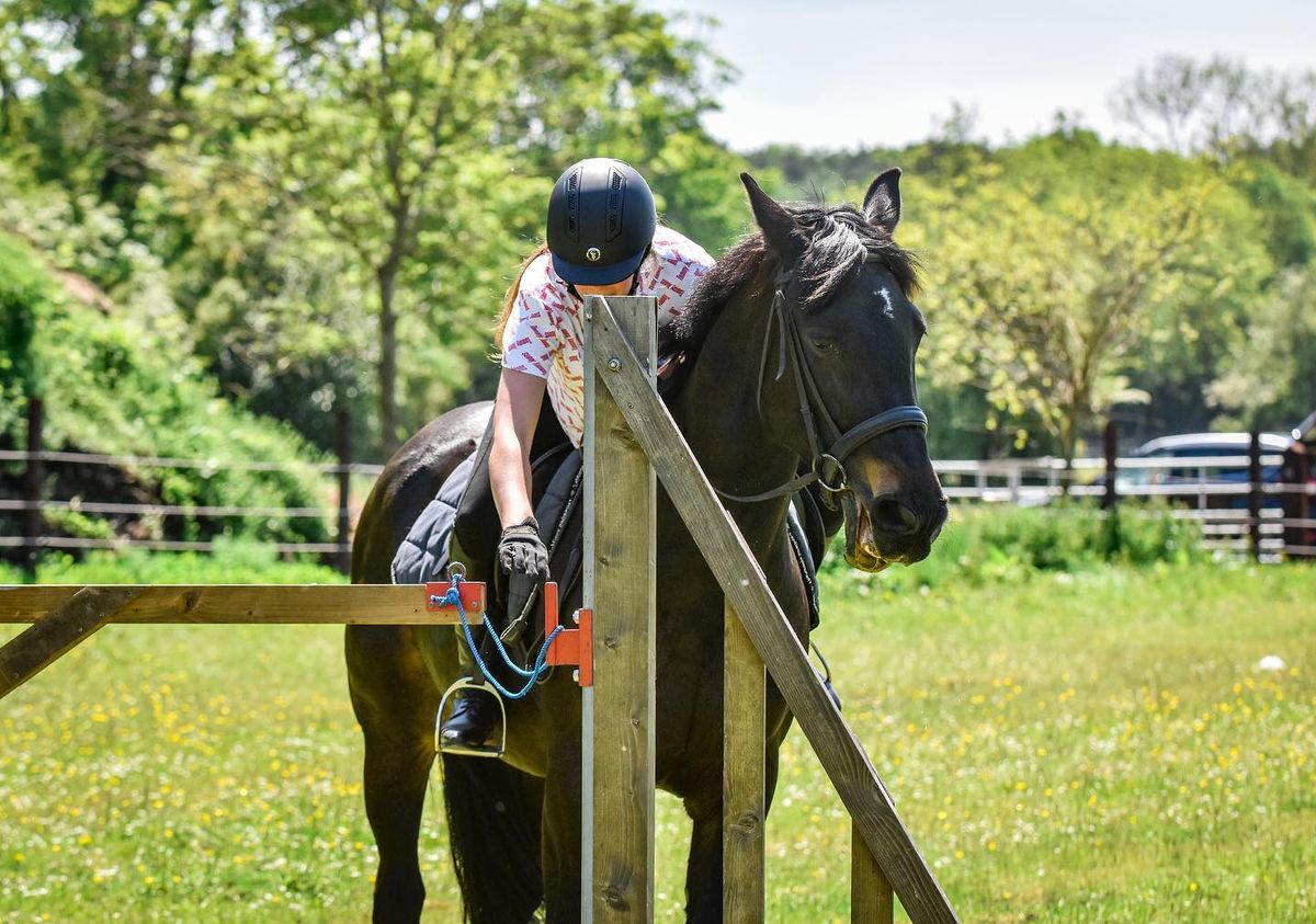  PTV Obstacles Clinic at Home Farm Cross Country Alconbury with Cath Anthony 