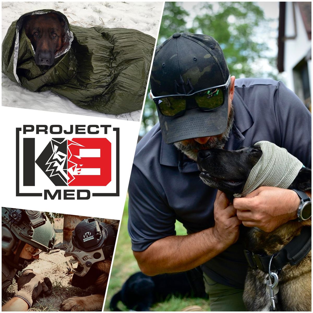 K9 First Aid