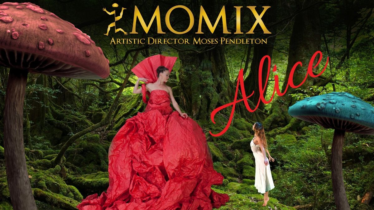 MOMIX: ALICE