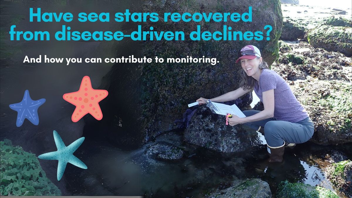 Tide Talks : Sea Stars : Recovery + Monitoring Discussion