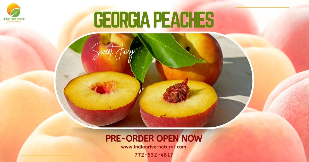 Fresh Georgia Peaches Sales Event - New Smyrna Beach, FL