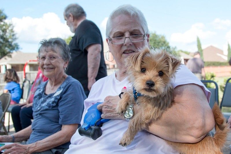 Outdoor Worship with Blessing of the Animals