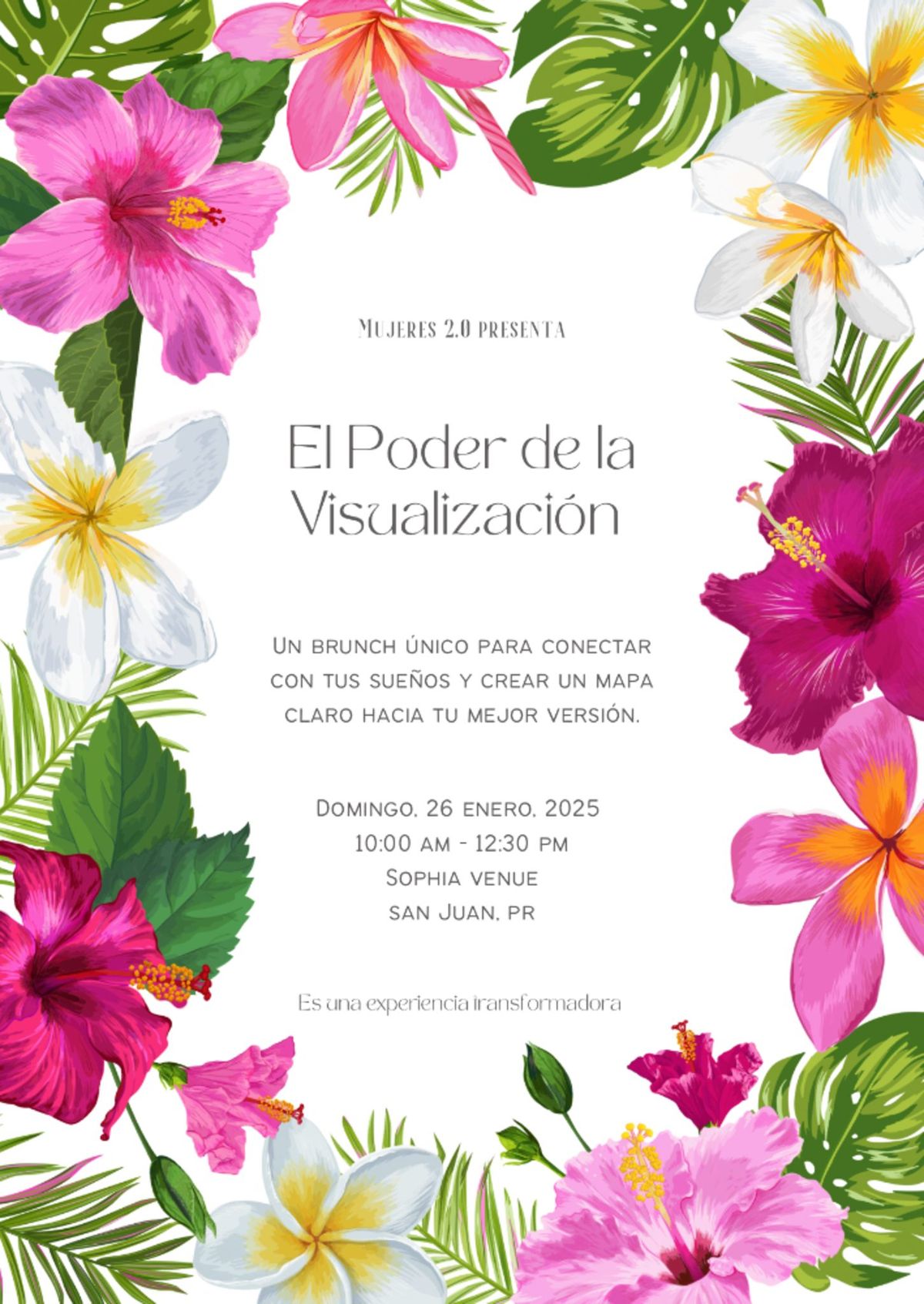 El Poder de la Visualizaci\u00f3n