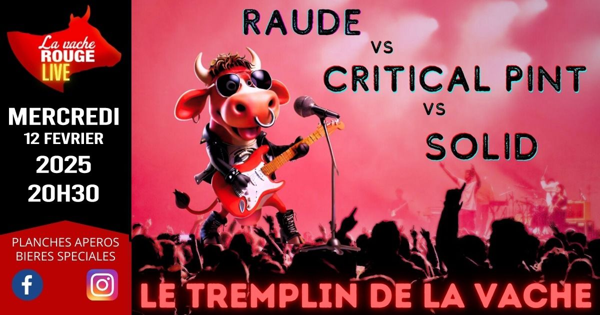 LE TREMPLIN DE LA VACHE - FEV-2025 \/\/ RAUDE + CRITICAL PINT + SOLID