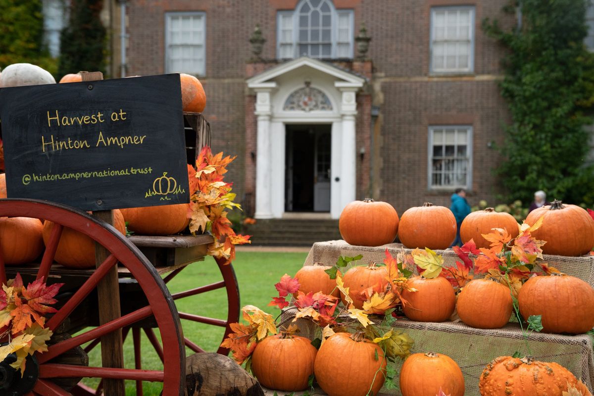 Gourd-geous Pumpkin Displays