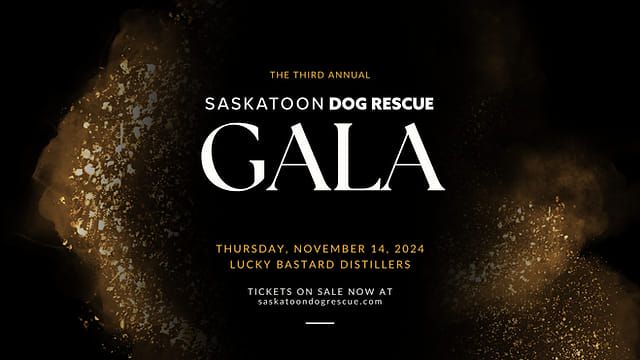 SDR Gala