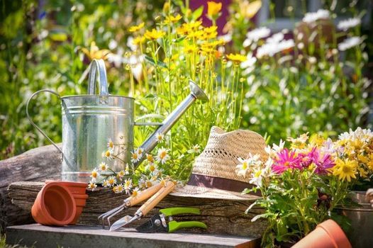 June Essentials of Gardening Class