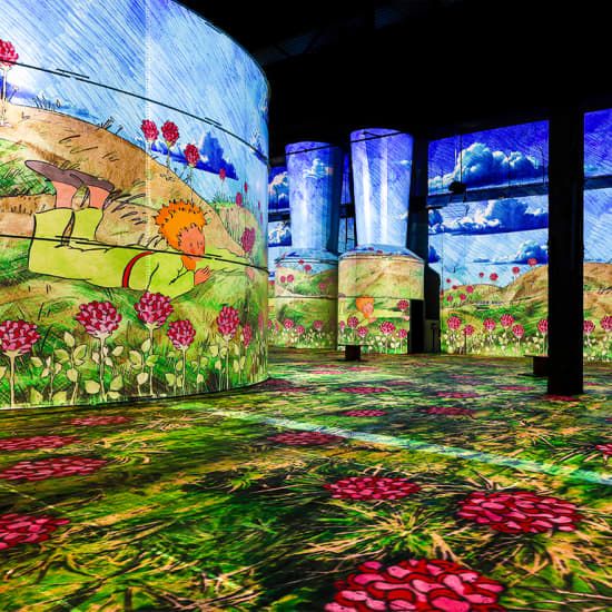 Der Kleine Prinz - Ein immersives M\u00e4rchen