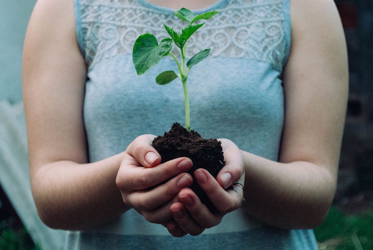 An Introduction to Gardening the Biodynamic Way