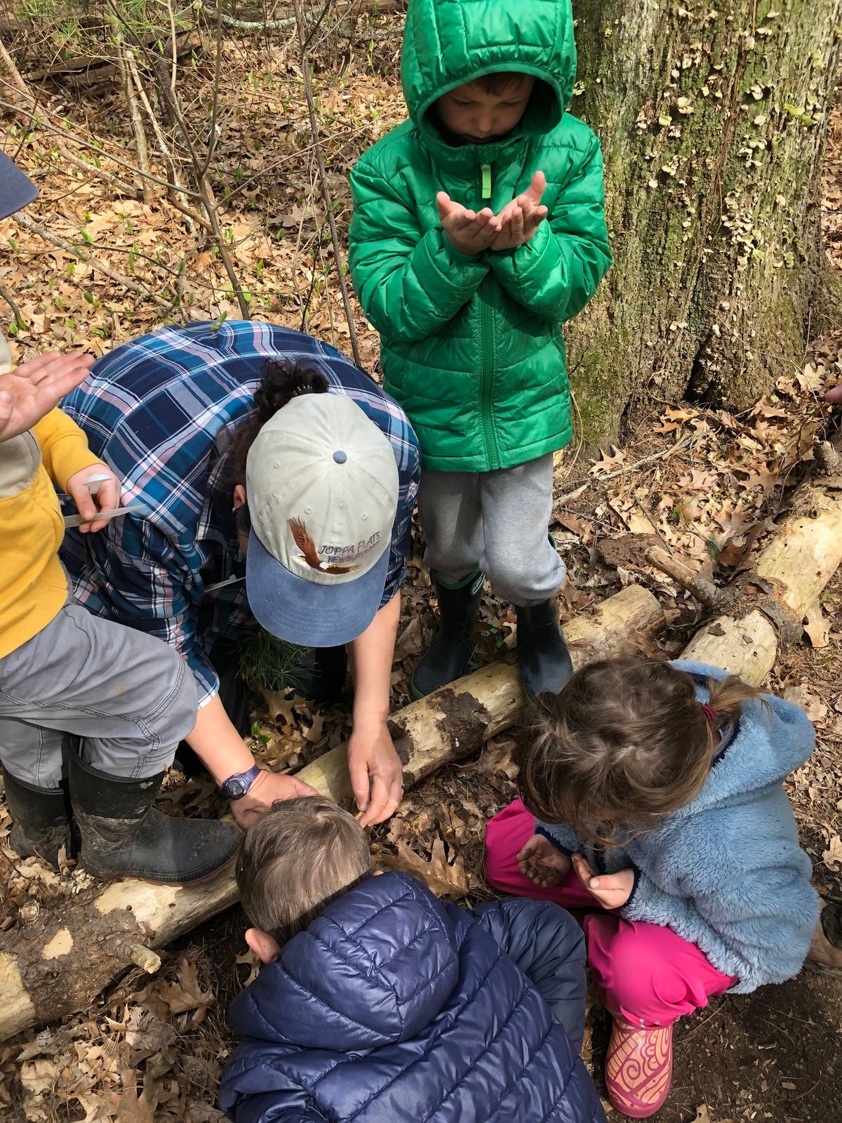 Family Hike: Vernal Pool Exploration 