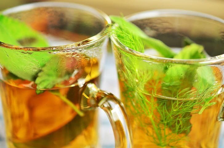 Herbal Tea Discovery