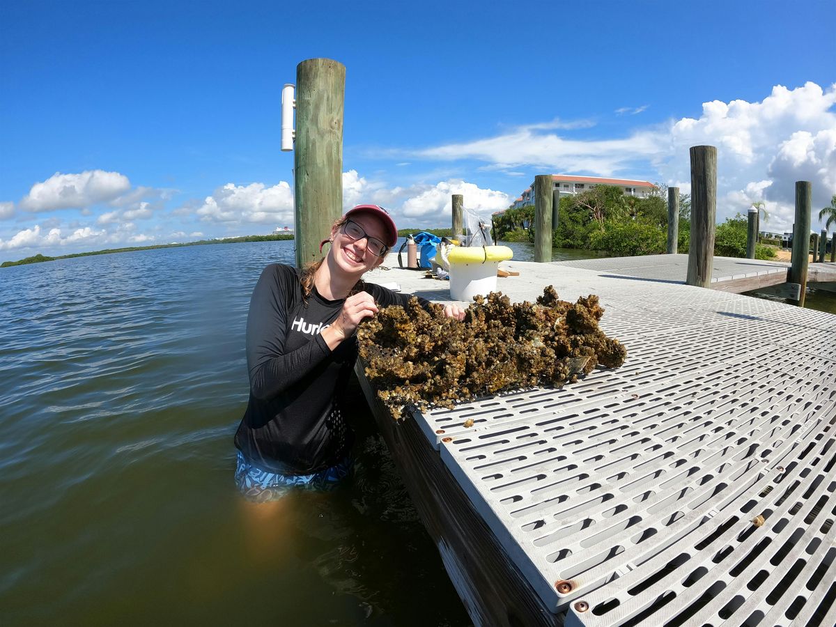 Living Docks and Oyster Mat Making Workshop with Dante Romero