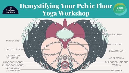 Demystifying Your Pelvic Floor Workshop