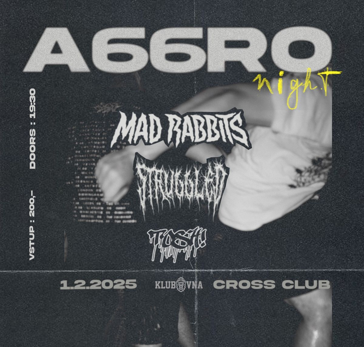 A66RO NIGHT- Stru66led, MAD Rabbits, Tosh