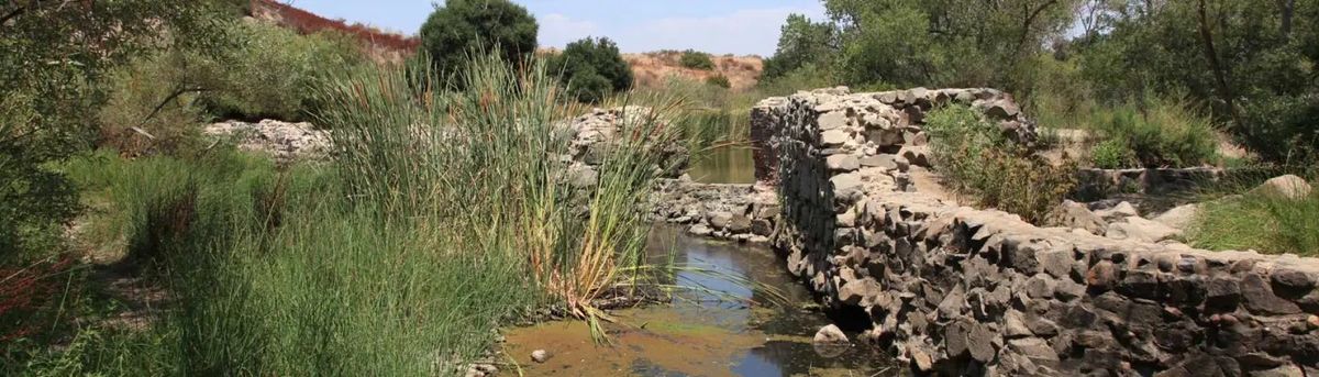 Old Mission Dam at Mission Trails with Peter Thomas and Millie Basden