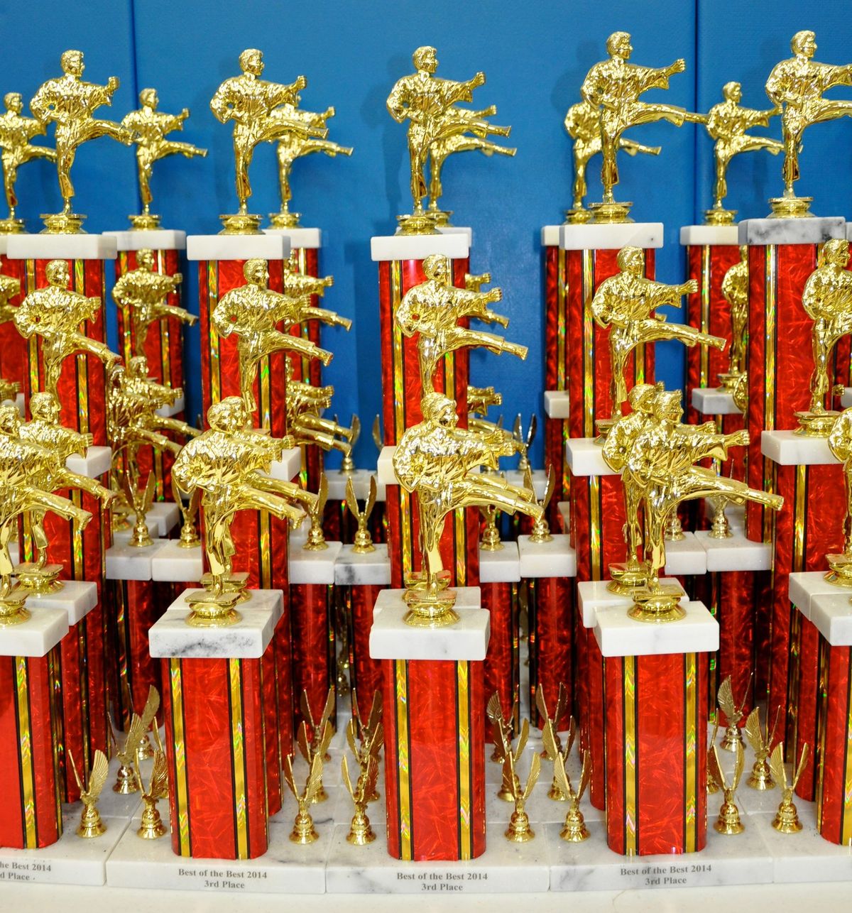 Fall Best of the Best Karate Tournament