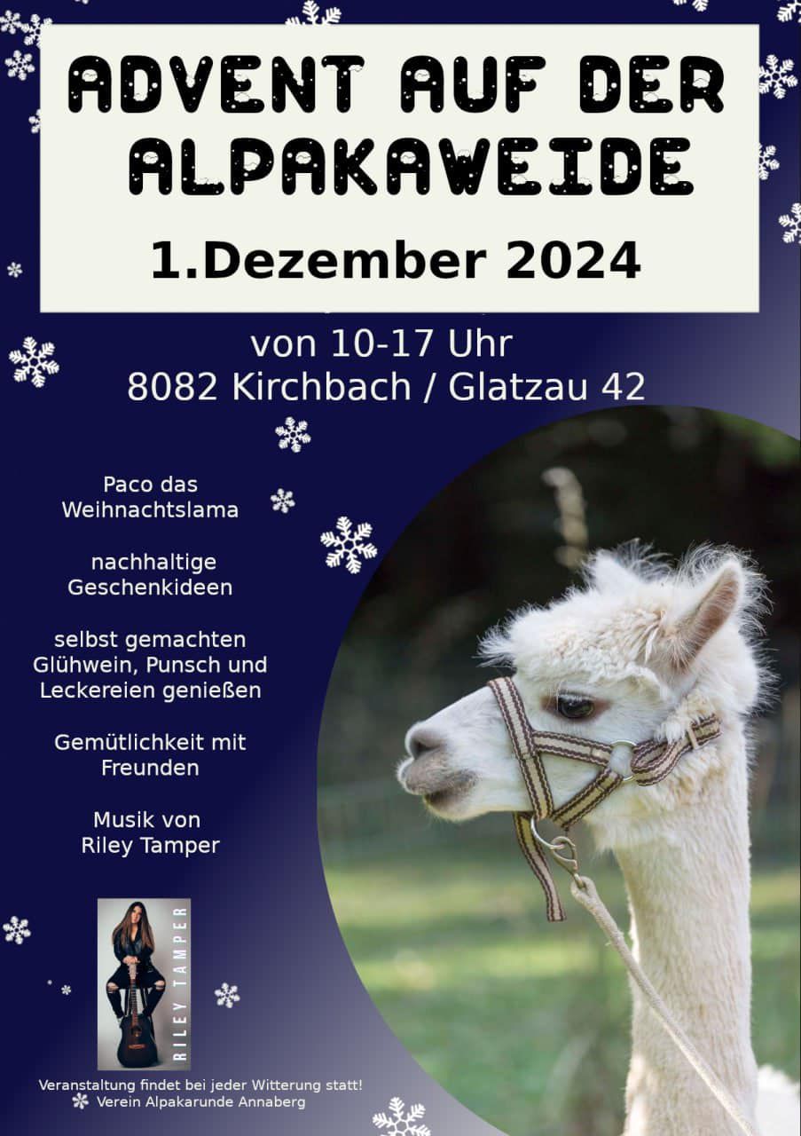 Advent auf der Alpakaweide