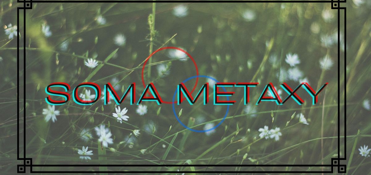 SOMA METAXY: Dynamics of the Extended Body