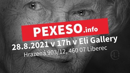 Pexeso Exhibition Photography