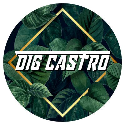 Dig Castro