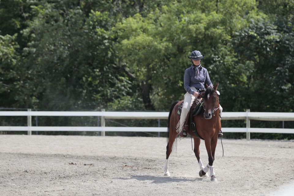 Twin Tiers Classic Horse Show Series Western Dressage classes