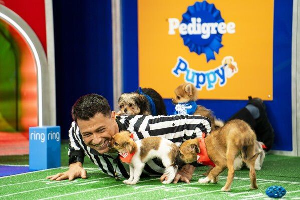 Puppy Bowl at Tocororo! 