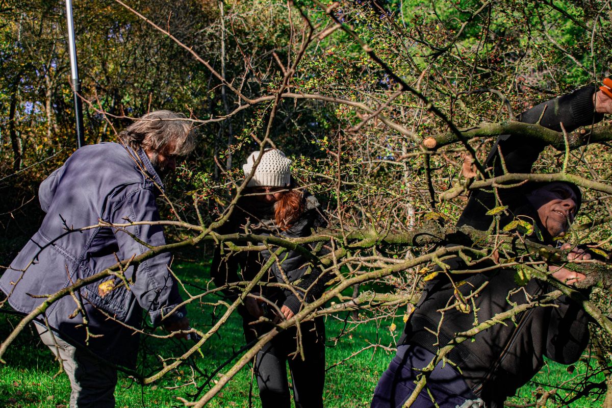 Corso "Speciale Frutteto"