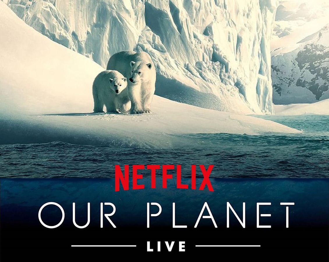 OUR PLANET LIVE - FROZEN WORLDS with SOPHIE LANFEAR