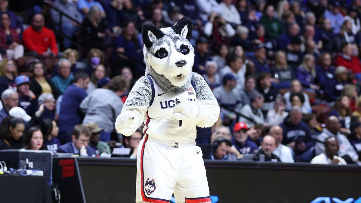 Parking Vermont Catamounts at Lehigh Mountain Hawks Womens Basketball