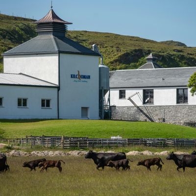 Kilchoman Distillery