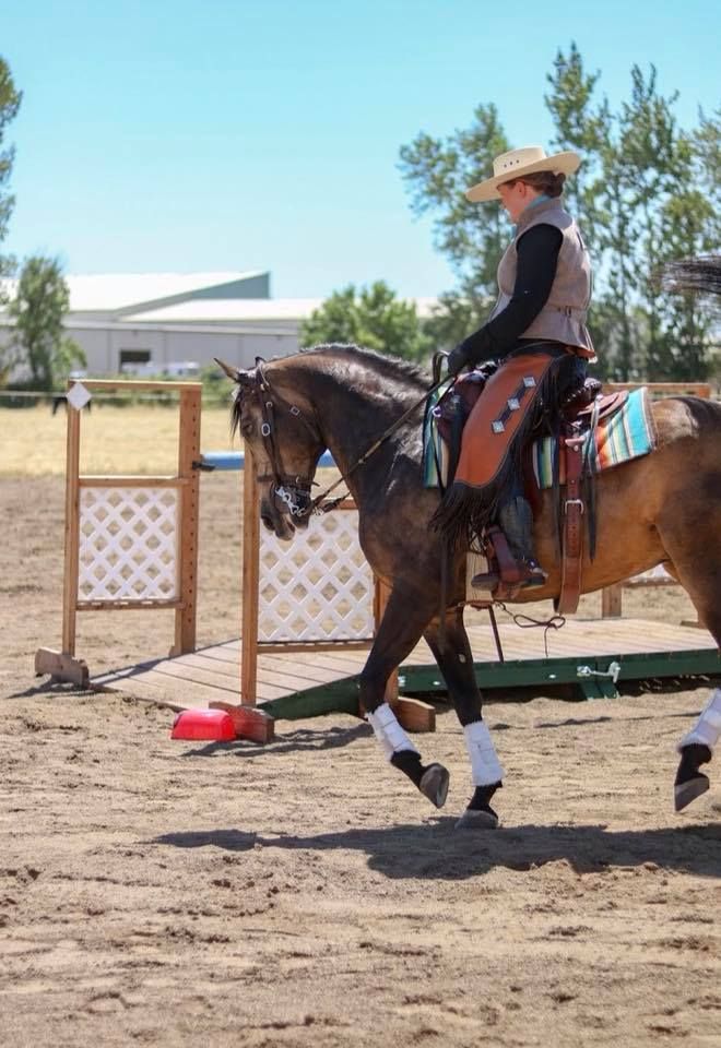 Working Equitation Clinic with Caitlin Day Huntress