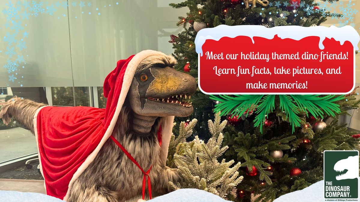 Holiday Tours (Dino Friends Expedition)