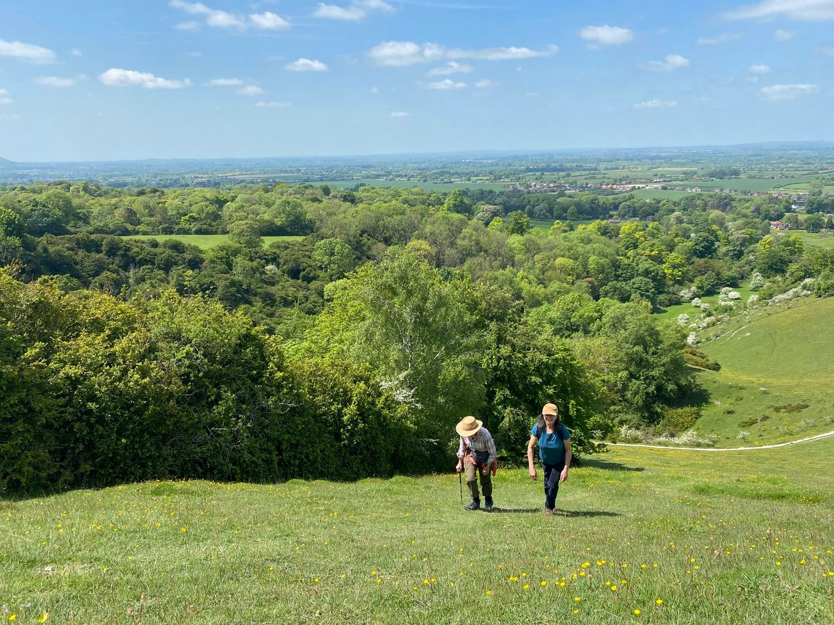 Chiltern Three Peaks Trek