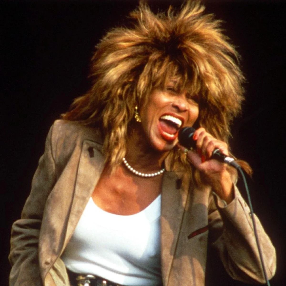 Tina Turner Tribute Act