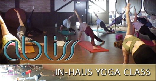 Haus Yoga (Vinyasa)